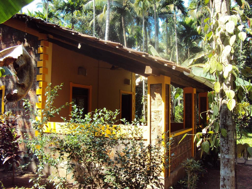 Dudhsagar Plantation Villa Cormonem Luaran gambar