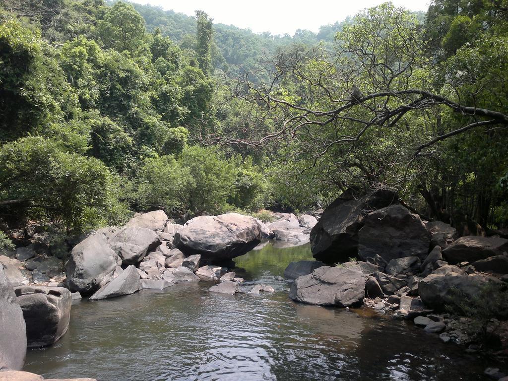 Dudhsagar Plantation Villa Cormonem Luaran gambar