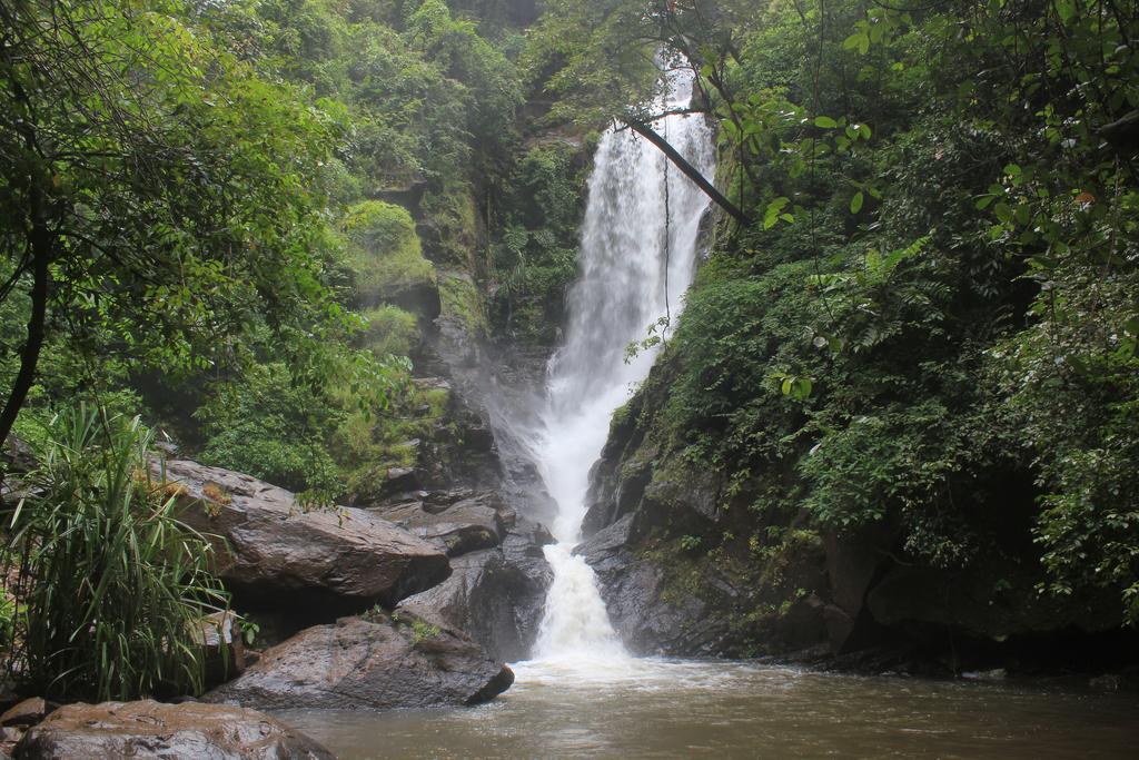 Dudhsagar Plantation Villa Cormonem Luaran gambar