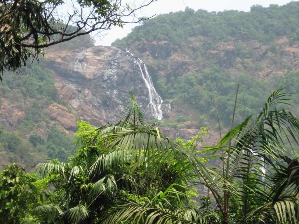 Dudhsagar Plantation Villa Cormonem Luaran gambar