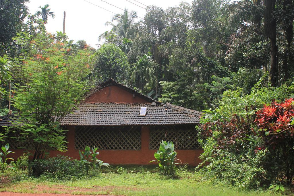 Dudhsagar Plantation Villa Cormonem Luaran gambar