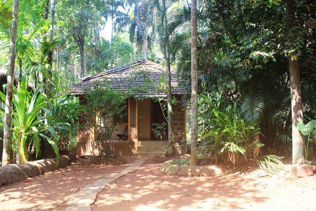 Dudhsagar Plantation Villa Cormonem Luaran gambar