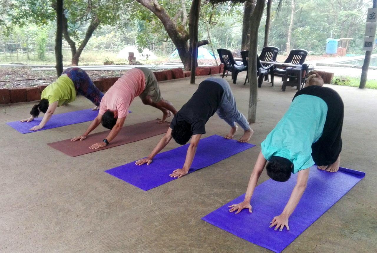 Dudhsagar Plantation Villa Cormonem Luaran gambar