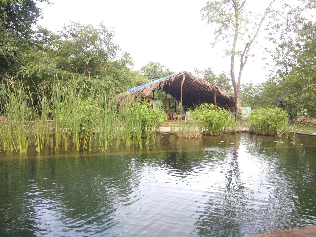 Dudhsagar Plantation Villa Cormonem Luaran gambar